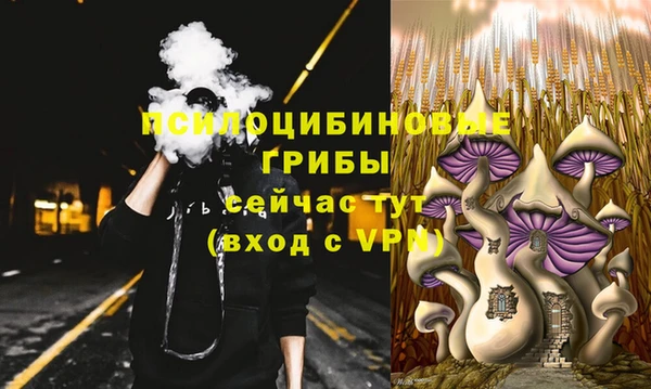 spice Верхний Тагил