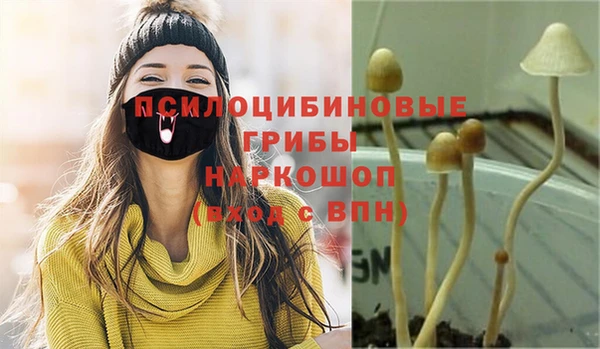 spice Верхний Тагил