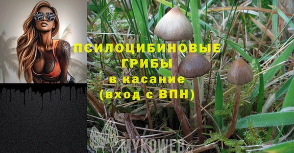 spice Верхнеуральск