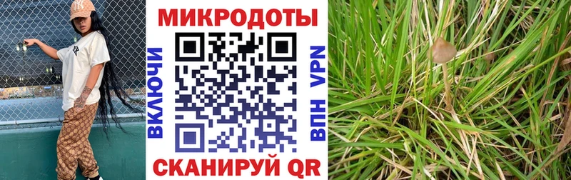 Псилоцибиновые грибы Psilocybine cubensis дарнет шоп Северобайкальск